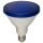 BELL 05653 15 watt PAR38 Outdoor Blue LED Reflector Light Bulb