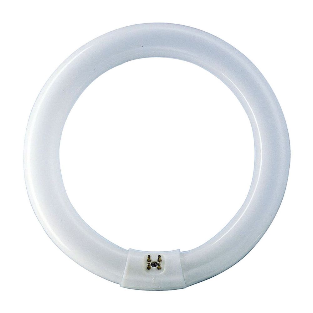 60 watt T9 Circular Fluorescent Tube Colour 840 Cool White