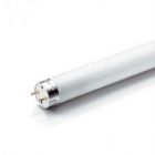15 watt T8 Cool White Fluorescent Tube - 840