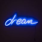 Dream LED Neon Style Wall Light