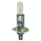 12 Volt 55 Watt P14.5s  448 Headlight - Foglight Bulb