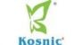 Manufacturer Logo Kosnic 2 watt SES-E14mm Antique Filament LED Candle Bulb
