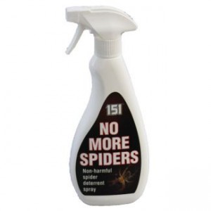 no-more-spiders
