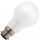 48/50 Volt 60 Watt BC-B22mm Pearl Low Voltage GLS Bulb