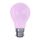 25 Watt BC-B22mm Pink Incandescent GLS Light Bulb