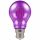 Crompton 13735 4.5 watt BC-B22mm Purple Harlequin LED GLS Light Bulb