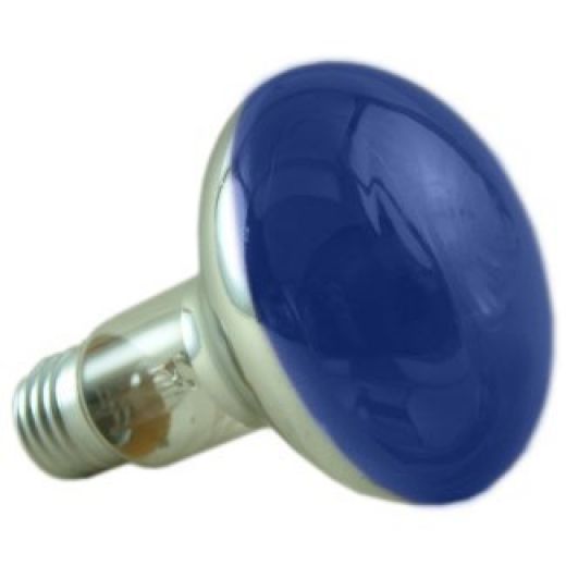 60 watt ES-E27 Blue Reflector Light Bulb