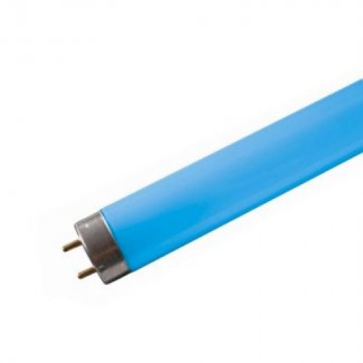 NARVA L LT 21 W T5 EQ/0182 blue2 blau blaue Neonröhre 21w fluorescent tube blue 