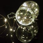 100 LED Copper Wire String Lights Cool White