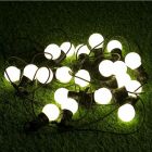 20 White Large LED Festoon Garden String Lights - S9399