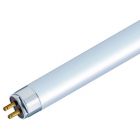 24 watt Standard White 549mm T5 Fluorescent Tube