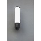 Lutec Elara Outdoor Security Light With Motion Sensor & Built in Camera - Dark Grey