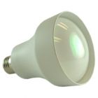 100 watt G.E R80 Genura Reflector Light Bulb - Now 14 watt Integral LED