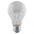 60 watt ES-E27 Clear Rough Service GLS Light Bulb