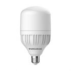 GE 93083681 Super Bright HighLumen T100 27 watt ES-E27mm LED - Daylight White