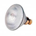 Philips 128959 XX 175 watt Clear ES-E27mm Infra Red Heat Lamp