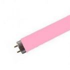 36 watt 4ft Pink T8 Fluorescent Tube