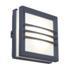 Lutec Seine IP54 Outdoor Wall & Ceiling Light