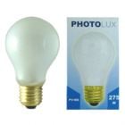 P1 Photographic Bulbs
