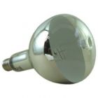 Mercury Light Reflector Lamps (MBF-R)